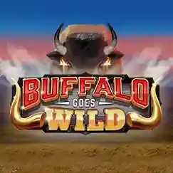 Buffalo Goes Wild